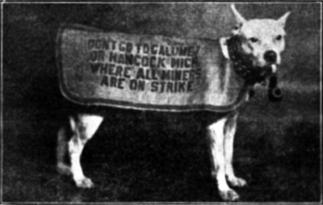 The dog's vest says "Don't go to Calumet or Hancock Mich, where all miners are on a strike. The reverse side of the vest discouraged people from going to break the strike in the Colorado coalfields. 